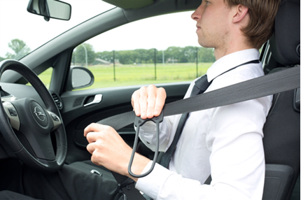 Afbeelding vergroten Vitility Handgreep Autogordel