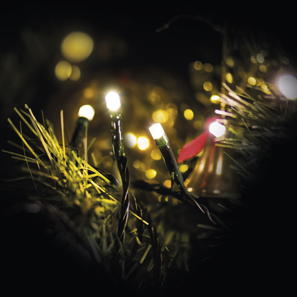 Afbeelding vergroten Emos Led Kerstverlichting Warm Wit 100 leds 10 meter