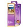 Philips LED Lamp E27 8W Dimbaar