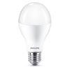 Philips LED Lamp E27 18,5W Mat
