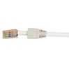 Hirschmann CAT 6 dataconnector RJ 45 - 10 stuks wit CAT6RJ45+T 695020601