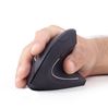 Gembird ergonomische muis MUSWERGO01 zwart
