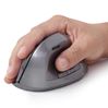Gembird draadloze ergonomische muis MUSWERGO02 grijs