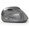 Gembird draadloze ergonomische muis MUSWERGO02 grijs