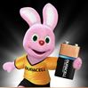 Duracell MX1604 knoopcelbatterijen 2 stuks