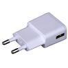 Grab 'n Go USB Thuislader 2A