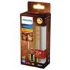 Philips Led Lamp E27 5,5 W 250 Lumen Vintage Buis Flame