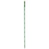 Philips TL Buis 58W Ø28mm 151 cm kleur 840