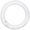 Osram TL buis cirkel T9 C 40W 840 (Cool white)