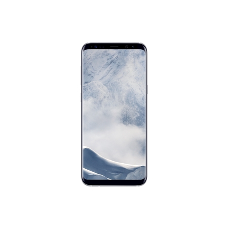 Samsung Galaxy S8+ 64GB zilver