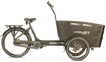 Vogue Carry 3 Ananda 540 Wh