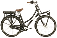 Fongers E-Transporter N7 360 Wh Zwart