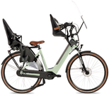 Fongers Nuevo Moederfiets 360 Wh Mineral Green