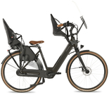 Fongers Nuevo Plus N8 Moederfiets 360 Wh Zwart