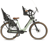 Fongers Nuevo Plus N8 Moederfiets 540 Wh Mineral Green