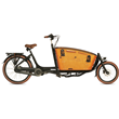 Vogue Carry 2 Ananda 540 Wh