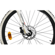 Ferrini Force XR 26