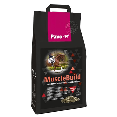 Pavo MuscleBuild - 1