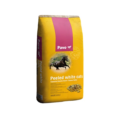 Pavo white oats_20KG_TOP QUALITY WHITE OATS