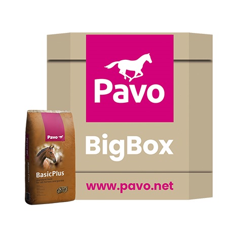 Pavo BasicPlus_725KG_Complete basisbrok voor alle paarden en pony's