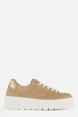 Sneakers taupe Suede