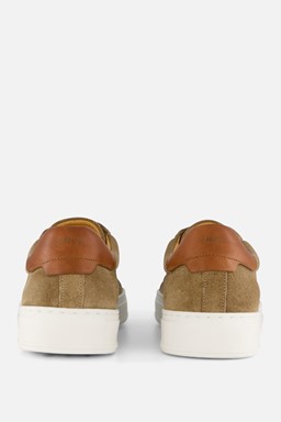 Barossa Sneakers taupe Suede