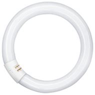 Osram TL buis cirkel T9 C 40W  840 (Cool white)