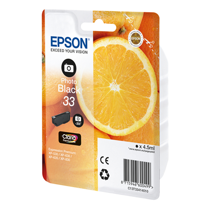 Epson Cartridge 33 (T3341) Foto Zwart