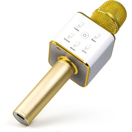 Technaxx Karaoke Microfoon Goud BT-X31