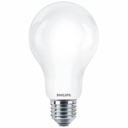 Philips LED lamp E27 13W 2700K Peer Mat