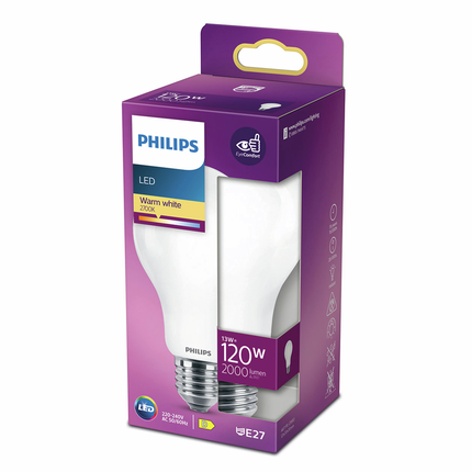 Philips LED lamp E27 13W 2700K Peer Mat