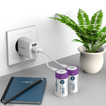 Ansmann Oplaadbare batterij Type C 2500mAh