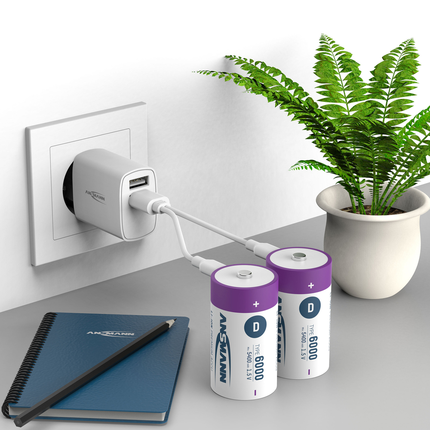 Ansmann Oplaadbare batterij Type D 6000mAh