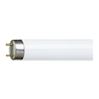 Philips TL-D buis 15W