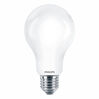Philips LED lamp E27 17,5W 2700K Peer Mat