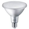 Philips LED Lamp PAR38 100W E27 1000Lm