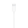 Apple EarPods met USB-C connector