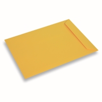 Gekleurde papieren envelop A4+ Geel