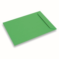 Gekleurde papieren envelop A4+ Groen