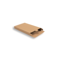 Cardboard Mailing Carton 250 mm x 160 mm Brown