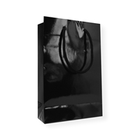 Glossybag 160 mm x 250 mm Schwarz