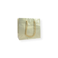 GlossyBag Pearl White 220 mm x 190 mm Gold
