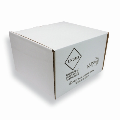 Kartonnen doos voor EPS doos 244 mm x 259 mm Wit