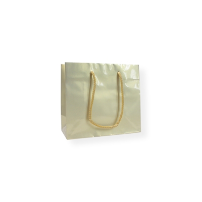 Glossy Bag Perlmutt 220 mm x 190 mm Gold