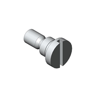 ROLLER SCREW BOLT